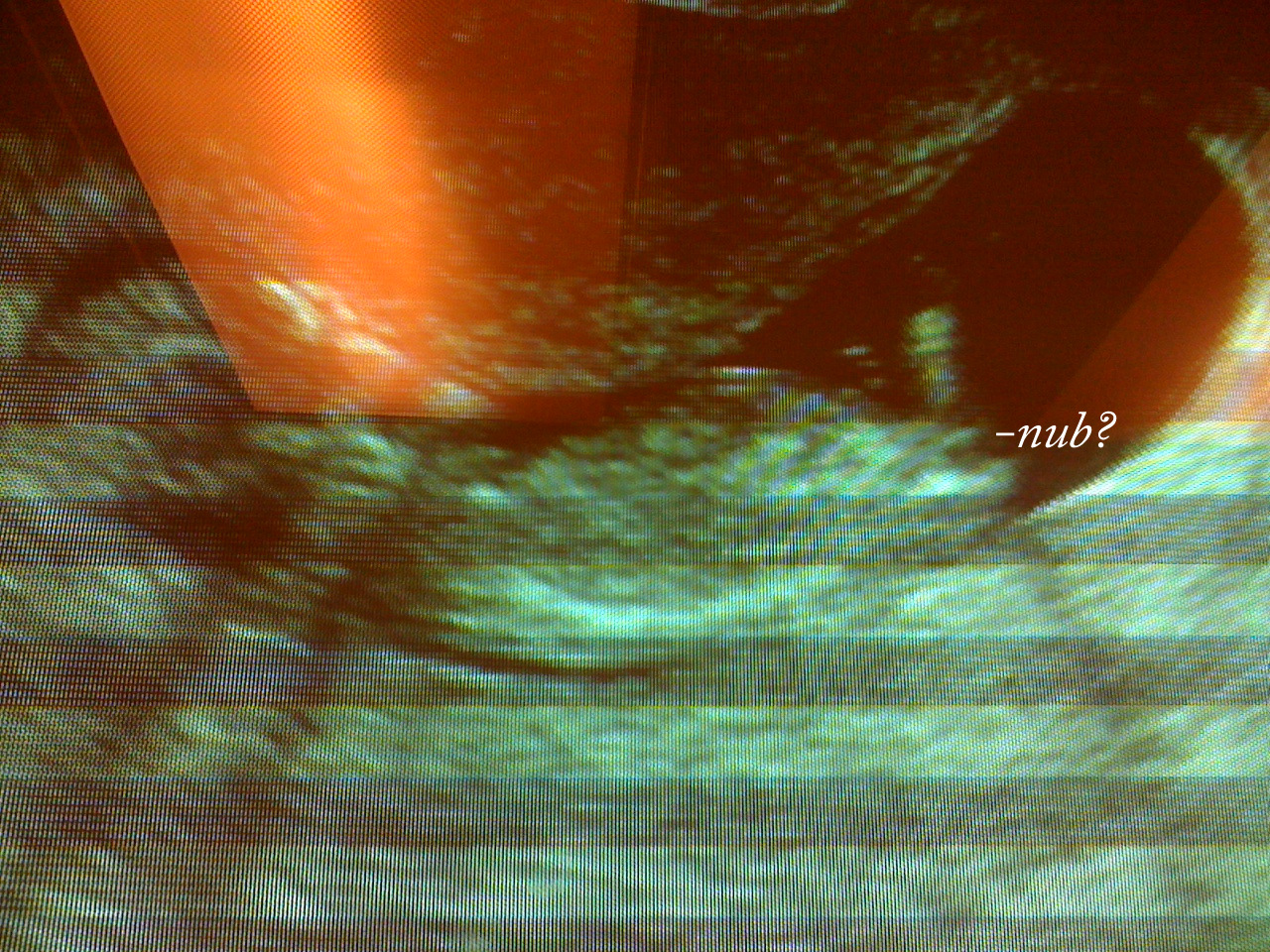 Name:  photo (24).JPG
Views: 368
Size:  696.3 KB
