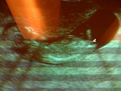 Name:  photo (24)-001.JPG
Views: 2038
Size:  37.4 KB