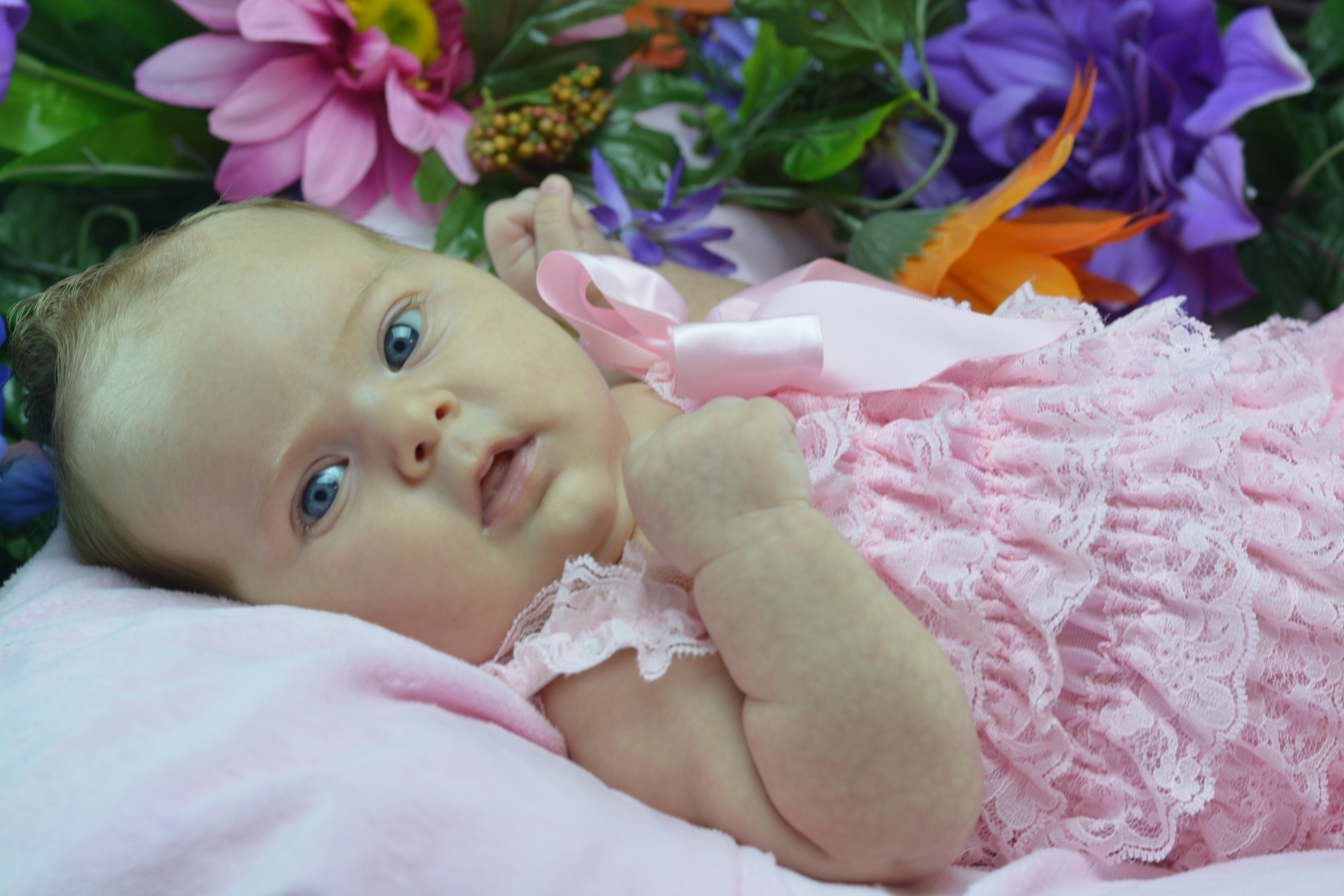 Name:  DSC_0201.JPG
Views: 244
Size:  7.55 MB