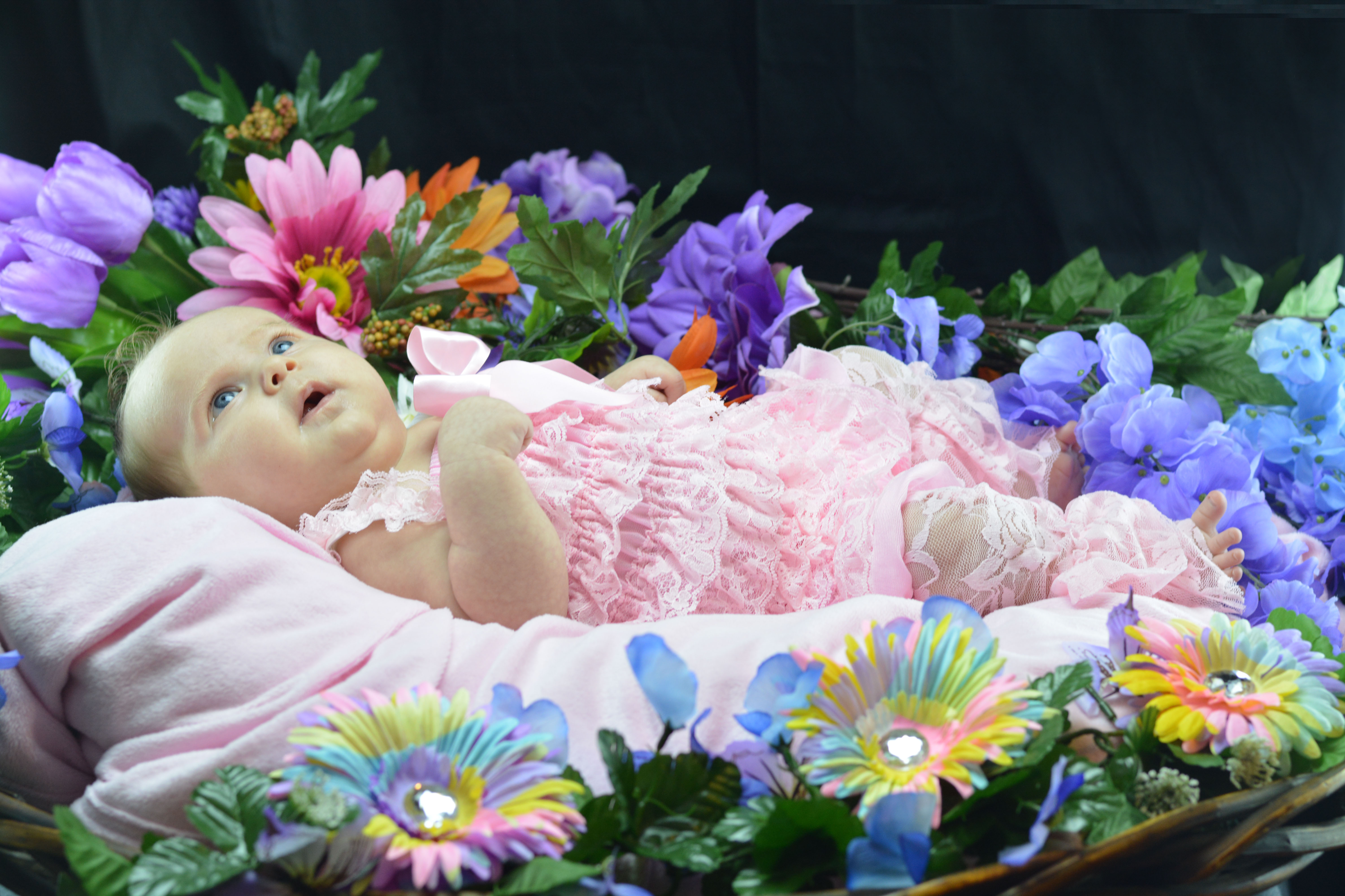 Name:  DSC_0179a.jpg
Views: 180
Size:  1.88 MB