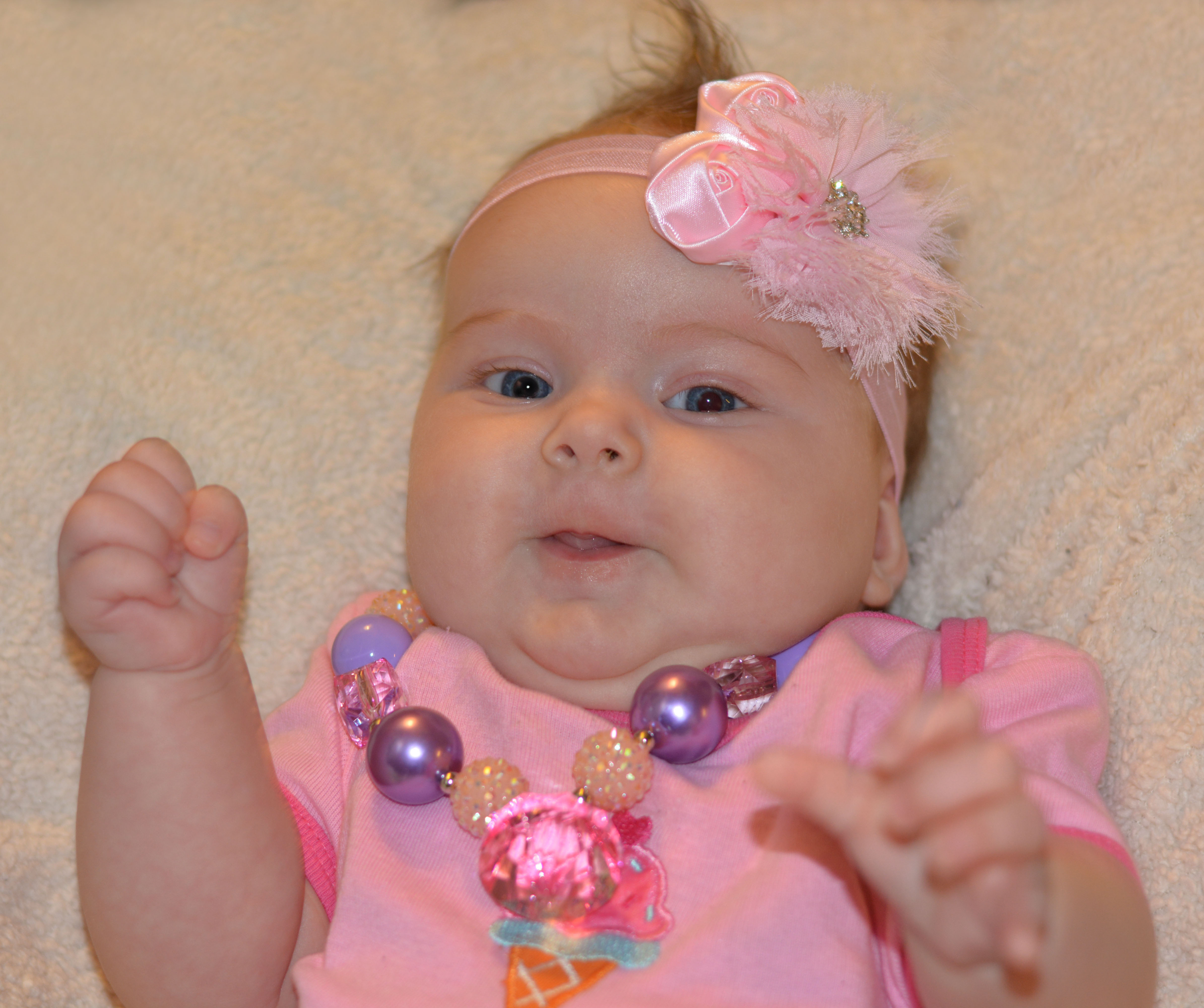 Name:  DSC_0251a.jpg
Views: 210
Size:  1.15 MB