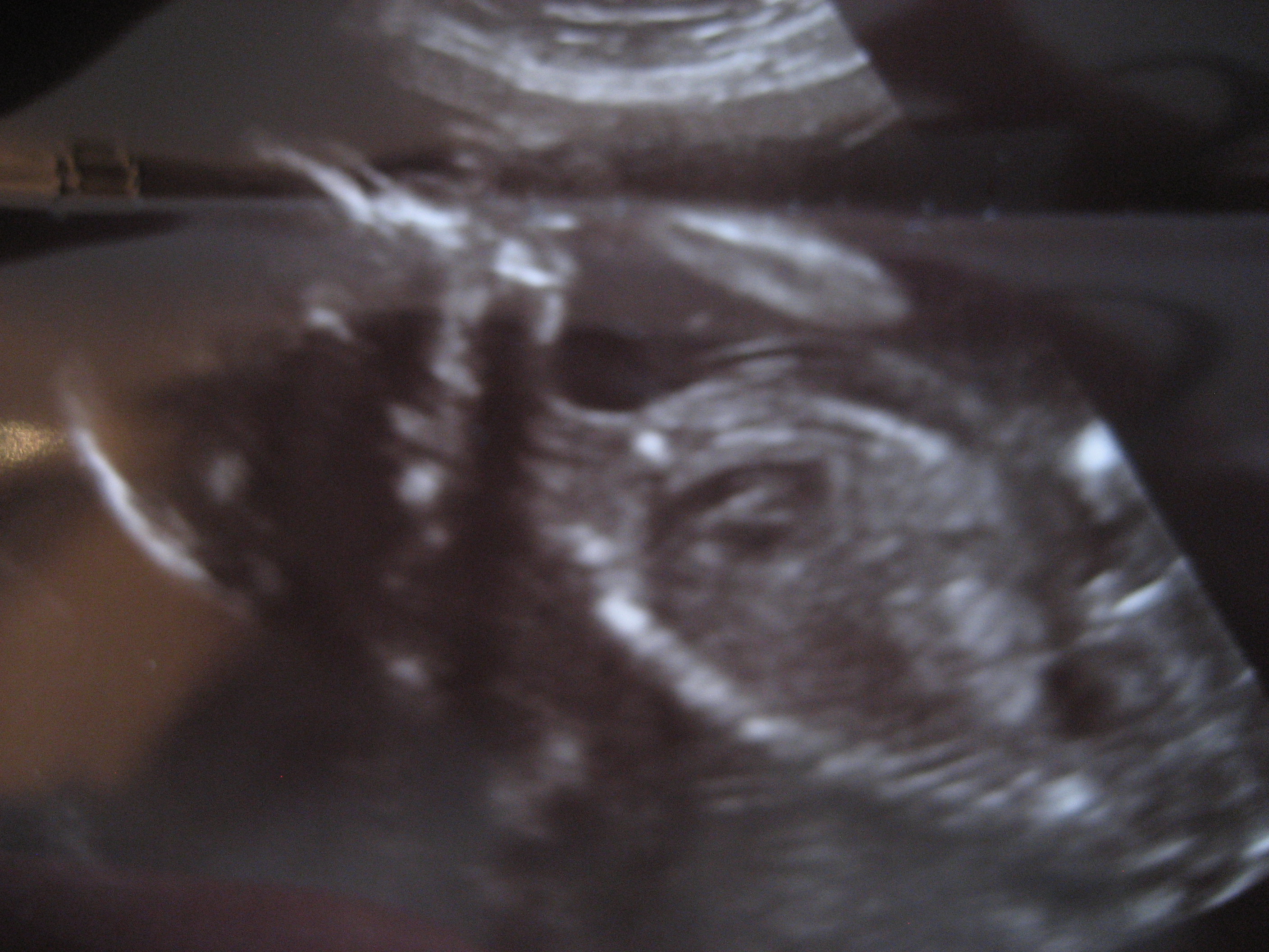 Name:  IMG_0637.JPG
Views: 447
Size:  1.52 MB