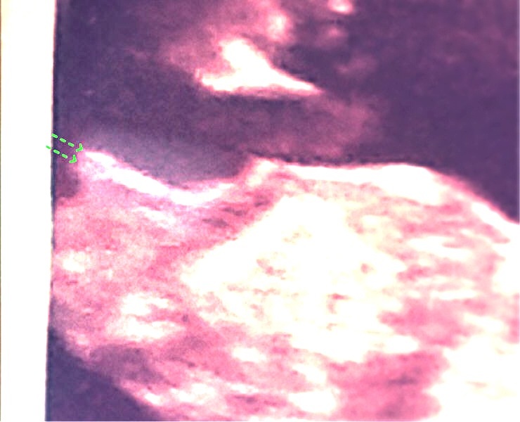 Name:  image.jpg
Views: 357
Size:  83.0 KB
