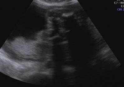 Name:  scan1.jpg
Views: 194
Size:  7.8 KB