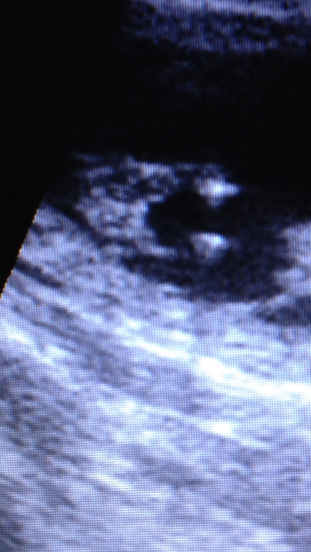 Name:  image.jpg
Views: 245
Size:  213.6 KB