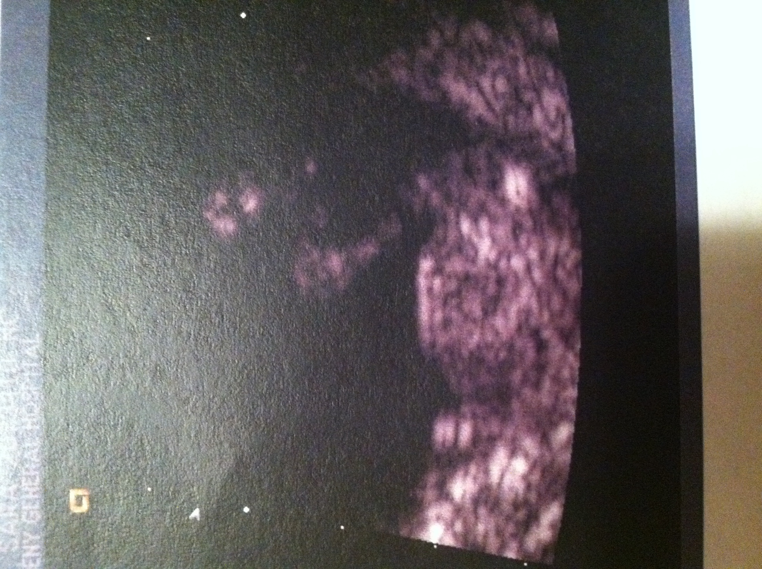 Name:  image.jpg
Views: 417
Size:  1.82 MB