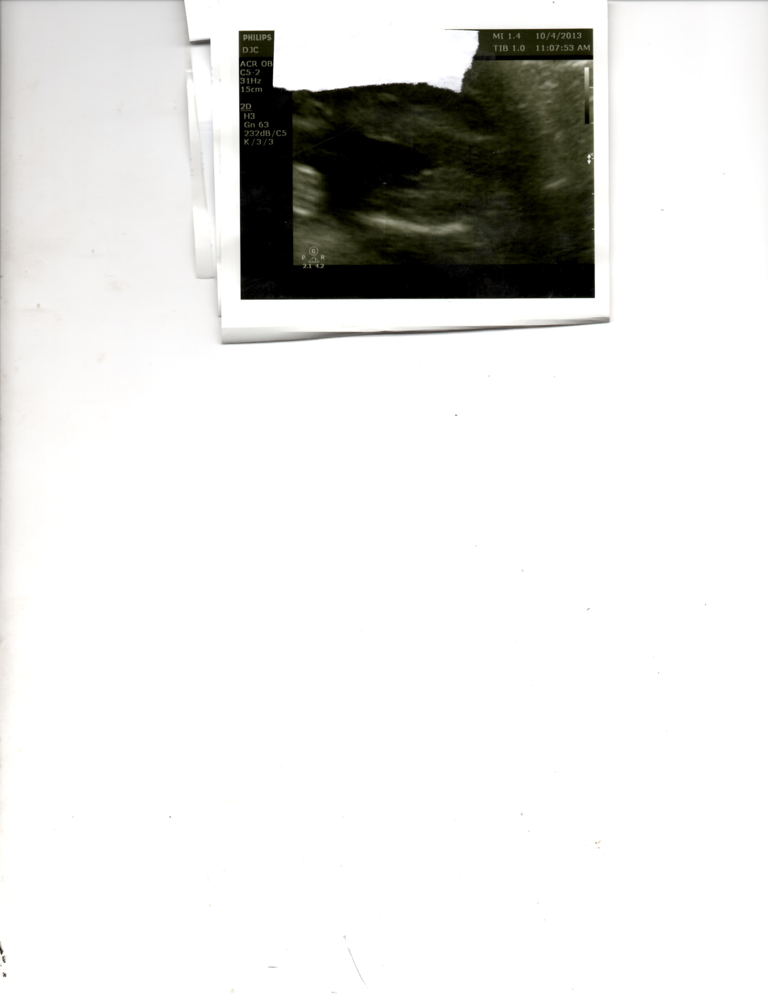 Name:  img084.jpg
Views: 541
Size:  205.6 KB