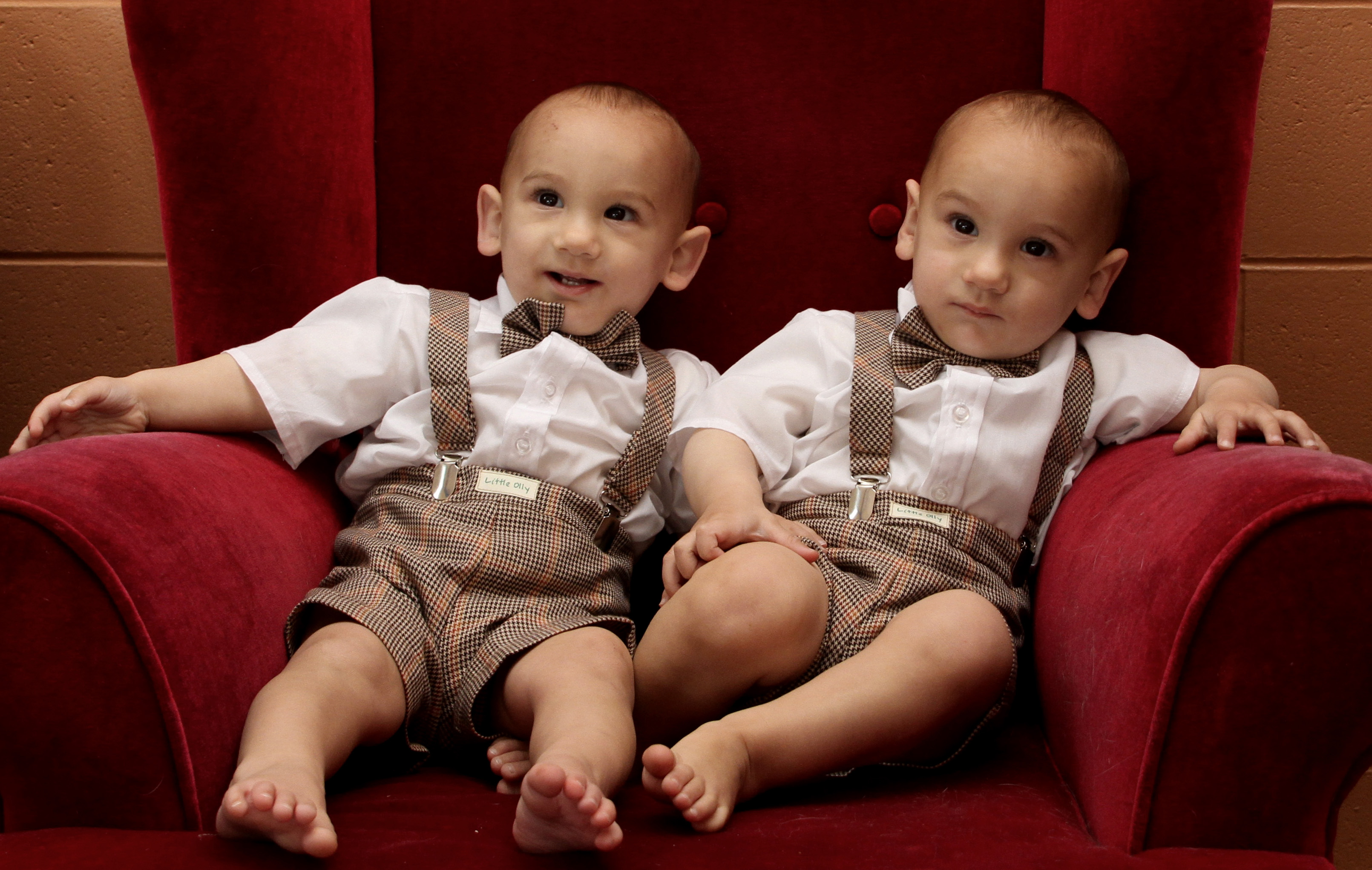 Name:  twins on red chair.jpg
Views: 846
Size:  1.25 MB