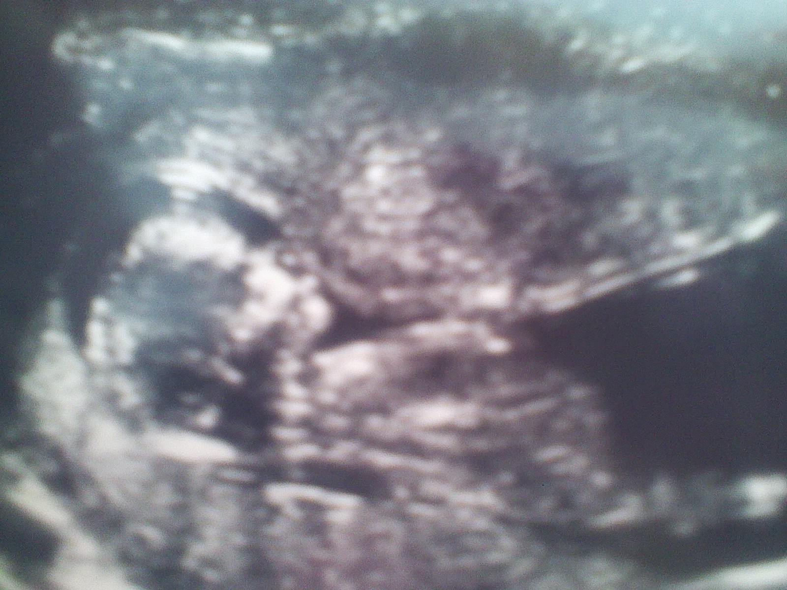 Name:  131018_0007.jpg
Views: 480
Size:  485.8 KB