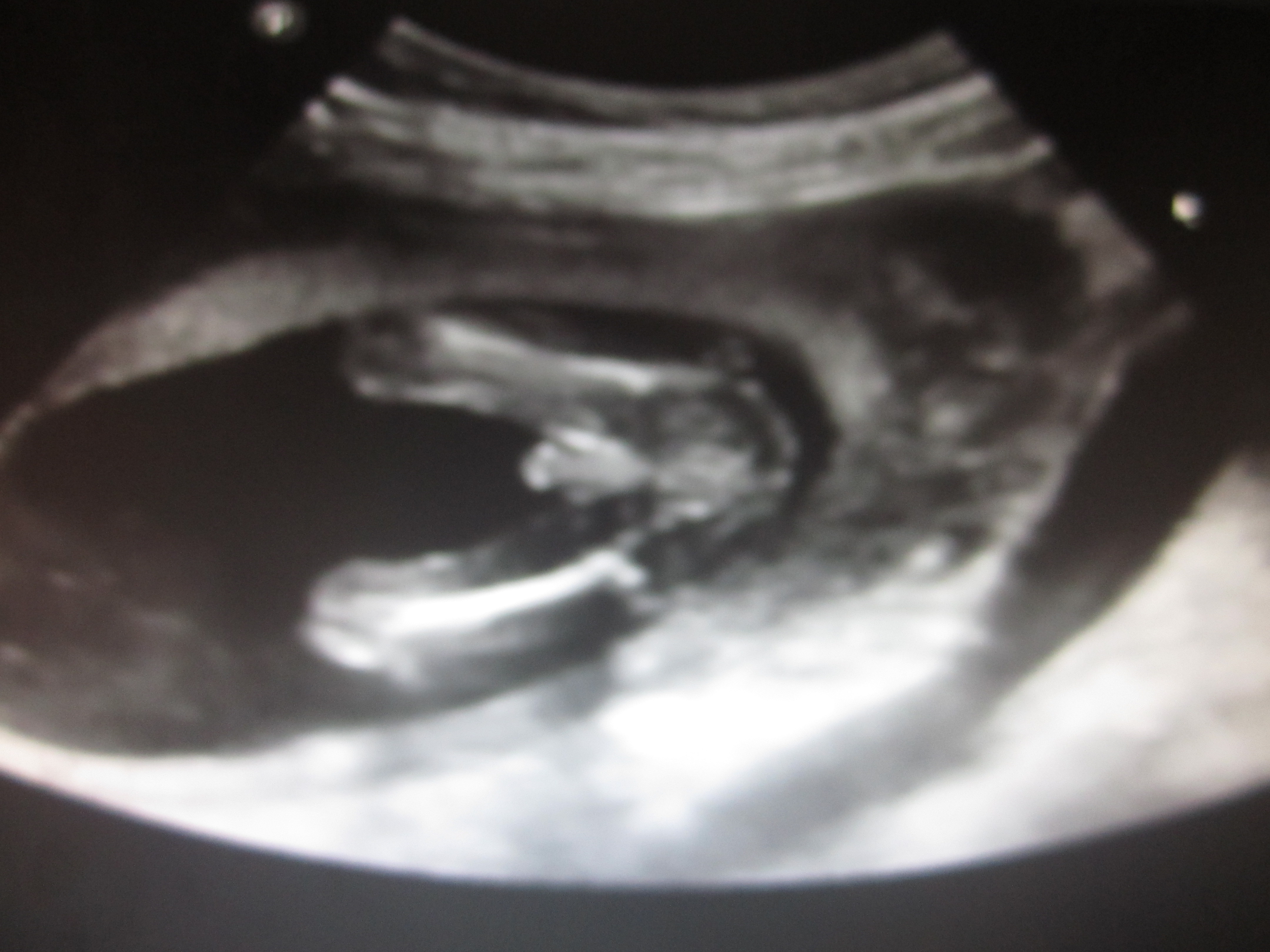 Name:  aIUscan 018.JPG
Views: 238
Size:  2.11 MB