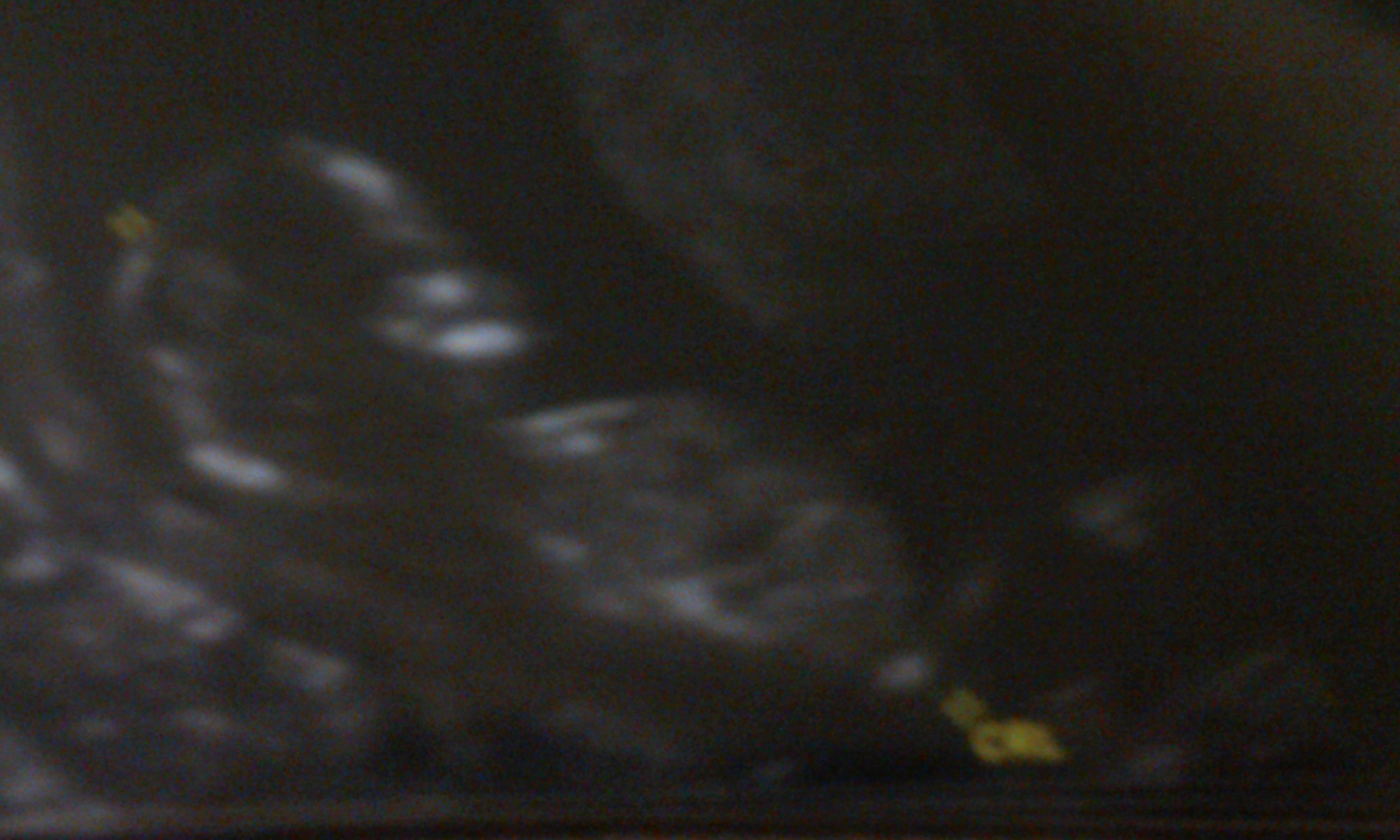 Name:  IMG_20131129_192938.jpg
Views: 224
Size:  313.3 KB