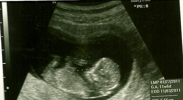 Name:  scan0002.jpg
Views: 327
Size:  38.8 KB