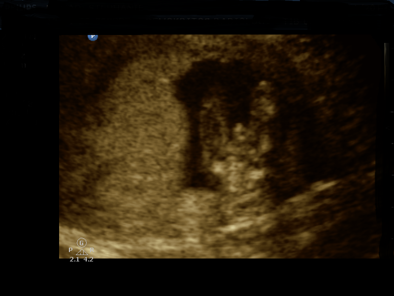 Name:  potty edited.bmp
Views: 151
Size:  1.37 MB