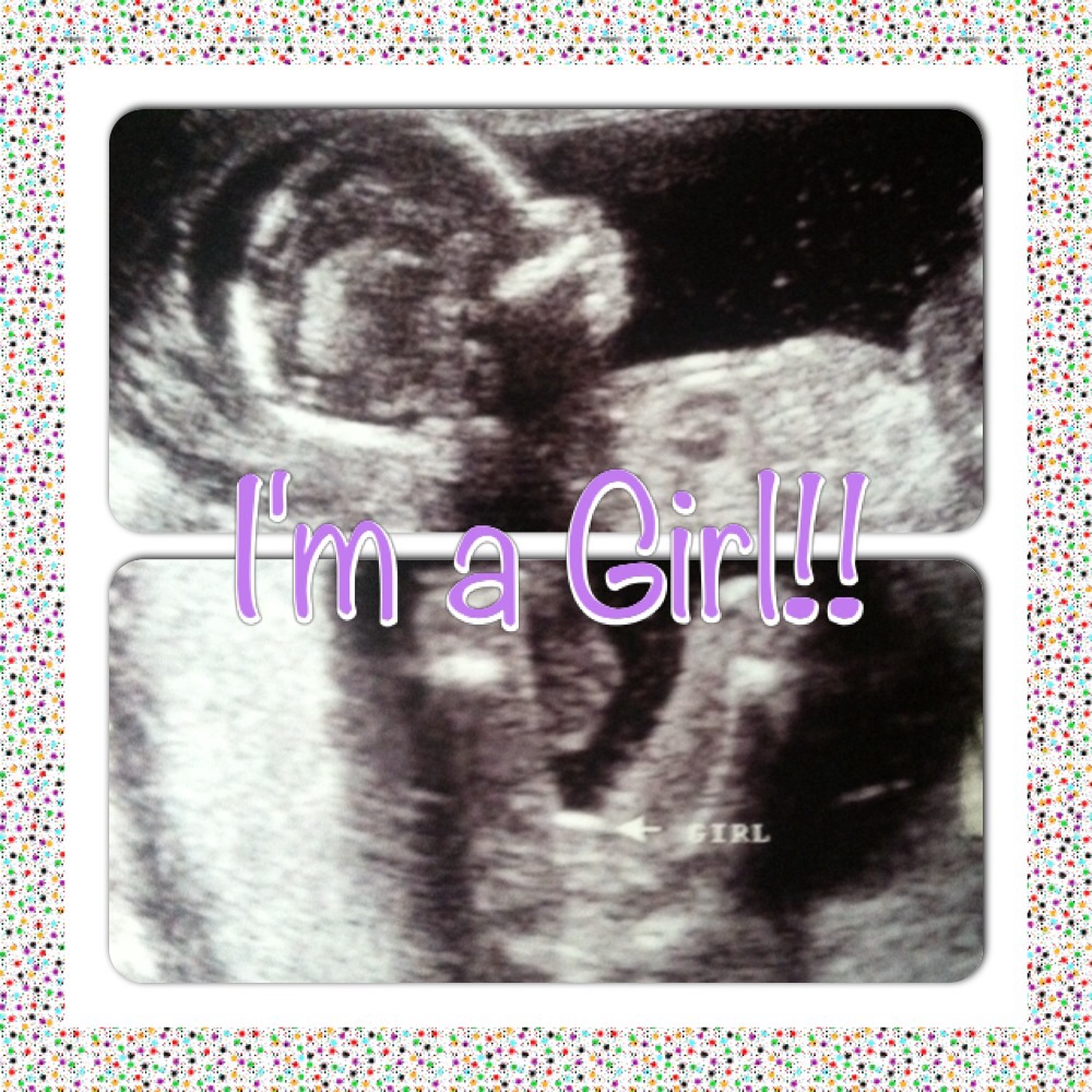 Name:  image.jpg
Views: 81
Size:  381.0 KB