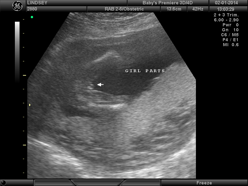 Name:  BABYS PREMIERE_7.JPG
Views: 319
Size:  147.8 KB