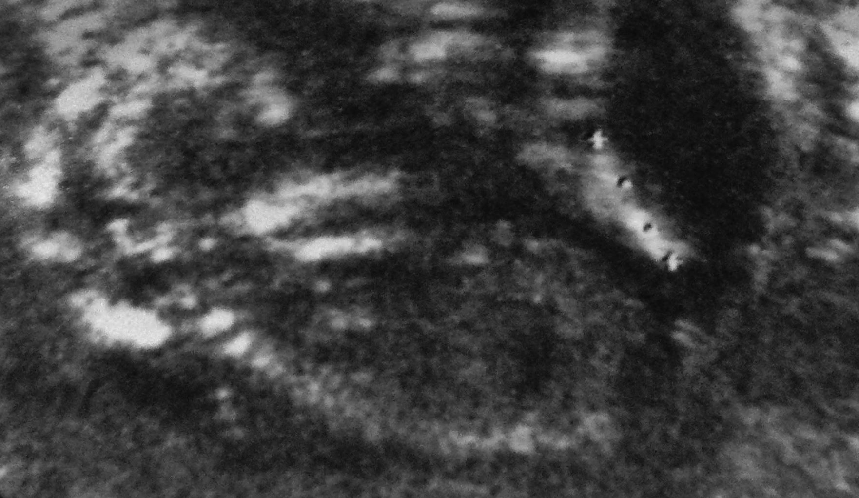 Name:  P1200161 (3).jpg
Views: 253
Size:  259.2 KB