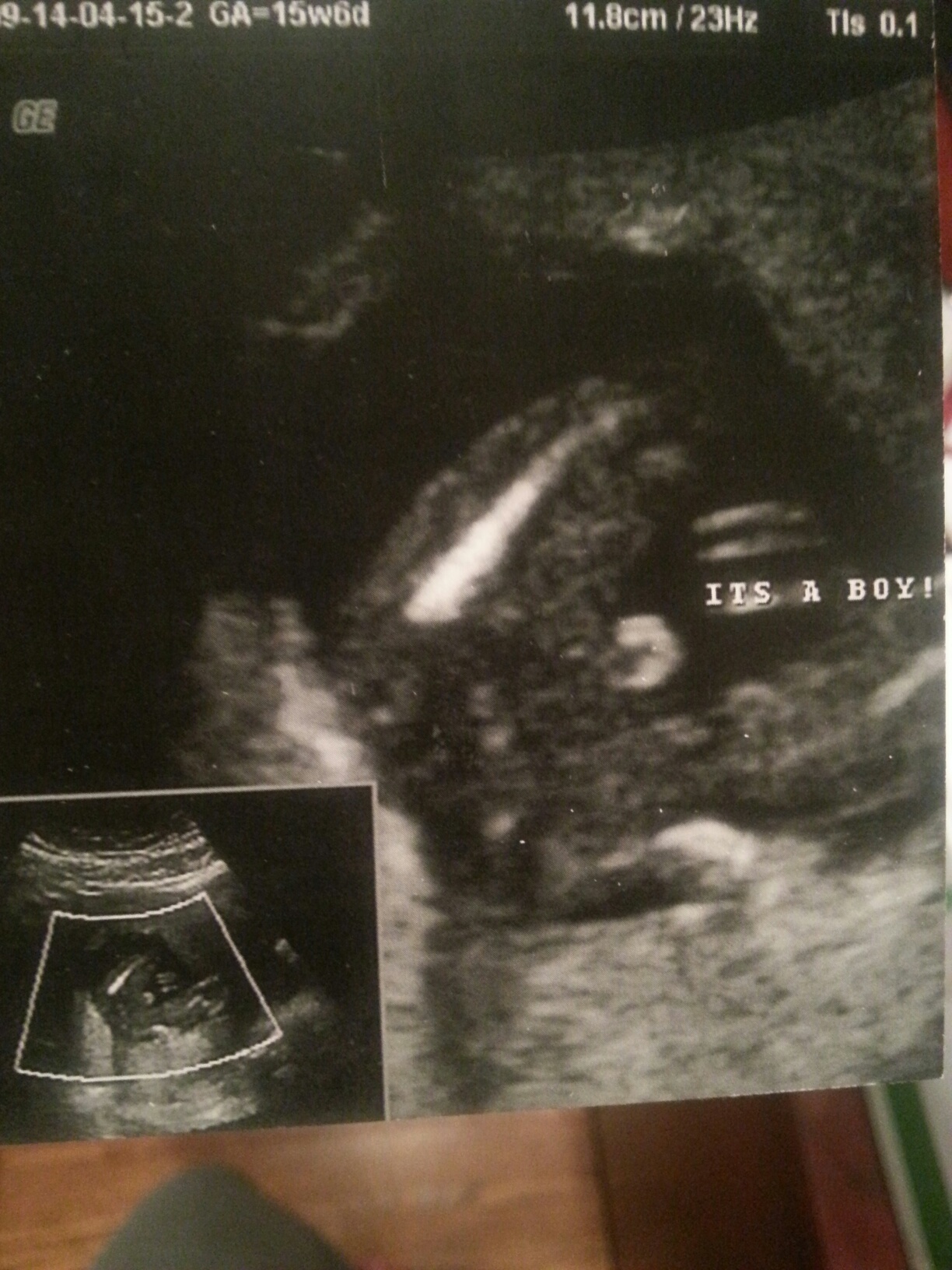 Name:  baby Lammers.jpg
Views: 778
Size:  527.6 KB