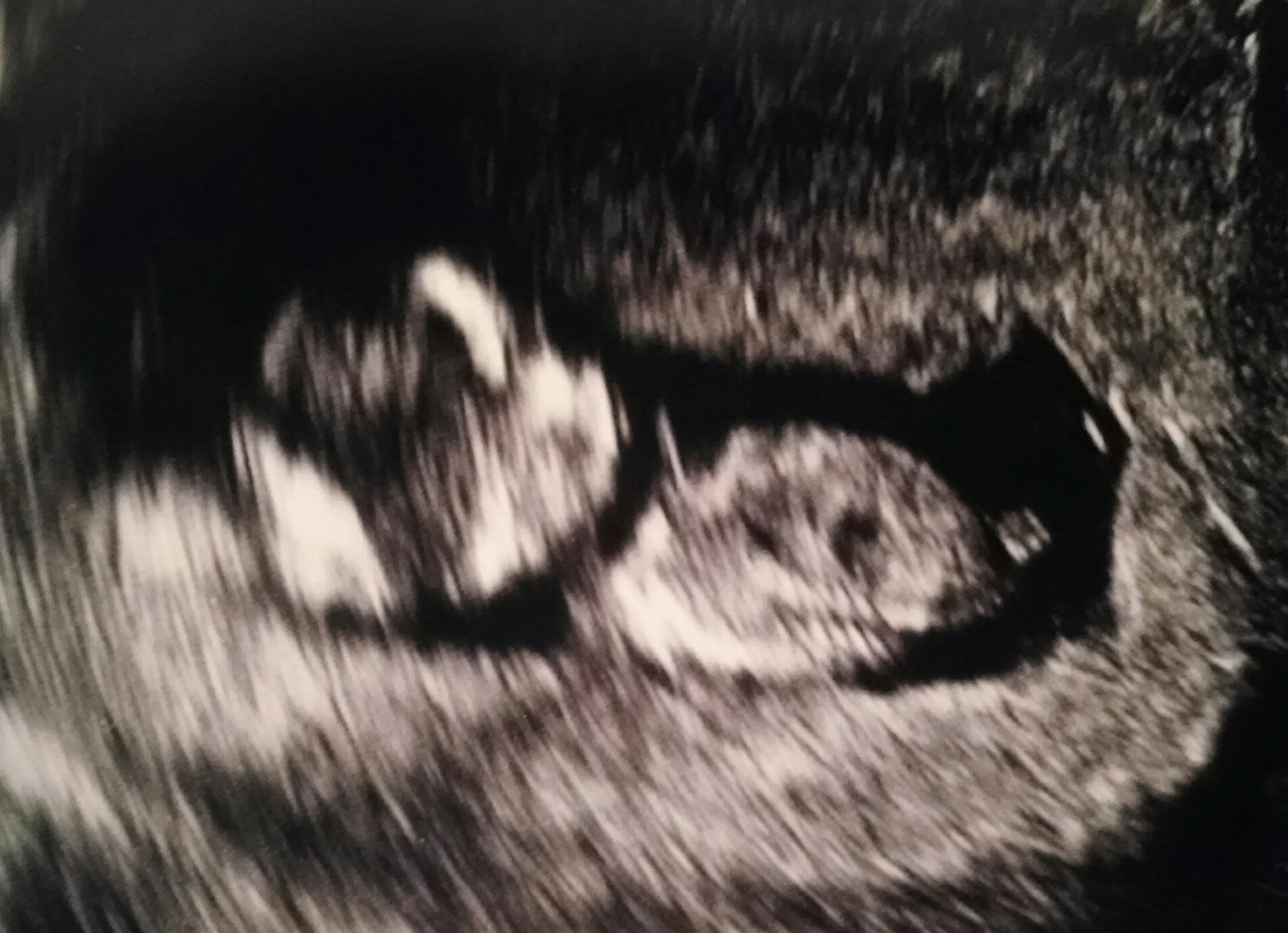 Name:  baby_02.jpg
Views: 459
Size:  374.4 KB
