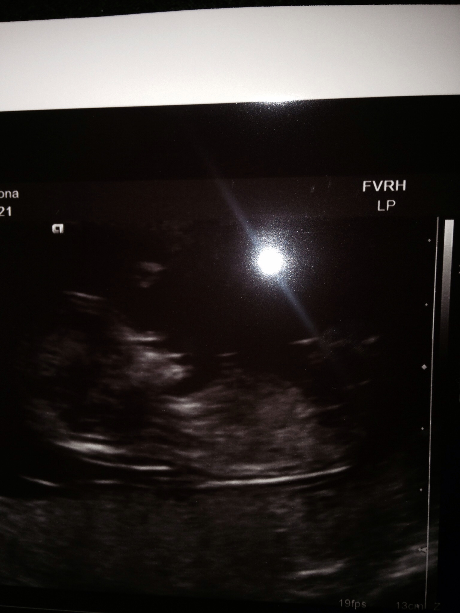 Name:  image.jpg
Views: 217
Size:  447.1 KB