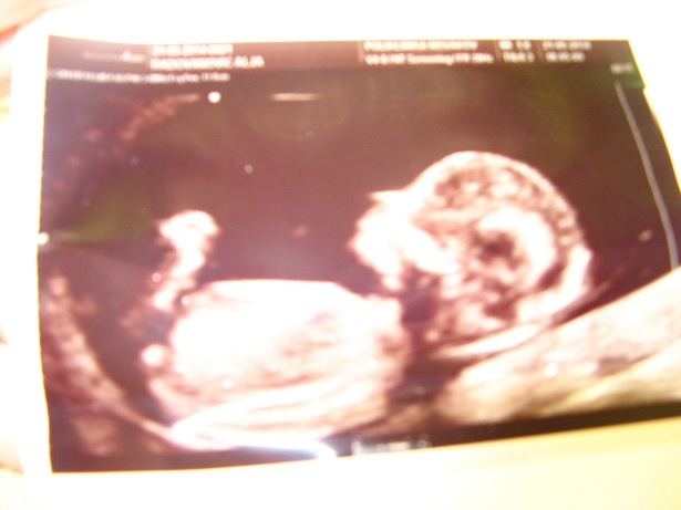 Name:  IMG_0138.JPG
Views: 295
Size:  82.5 KB