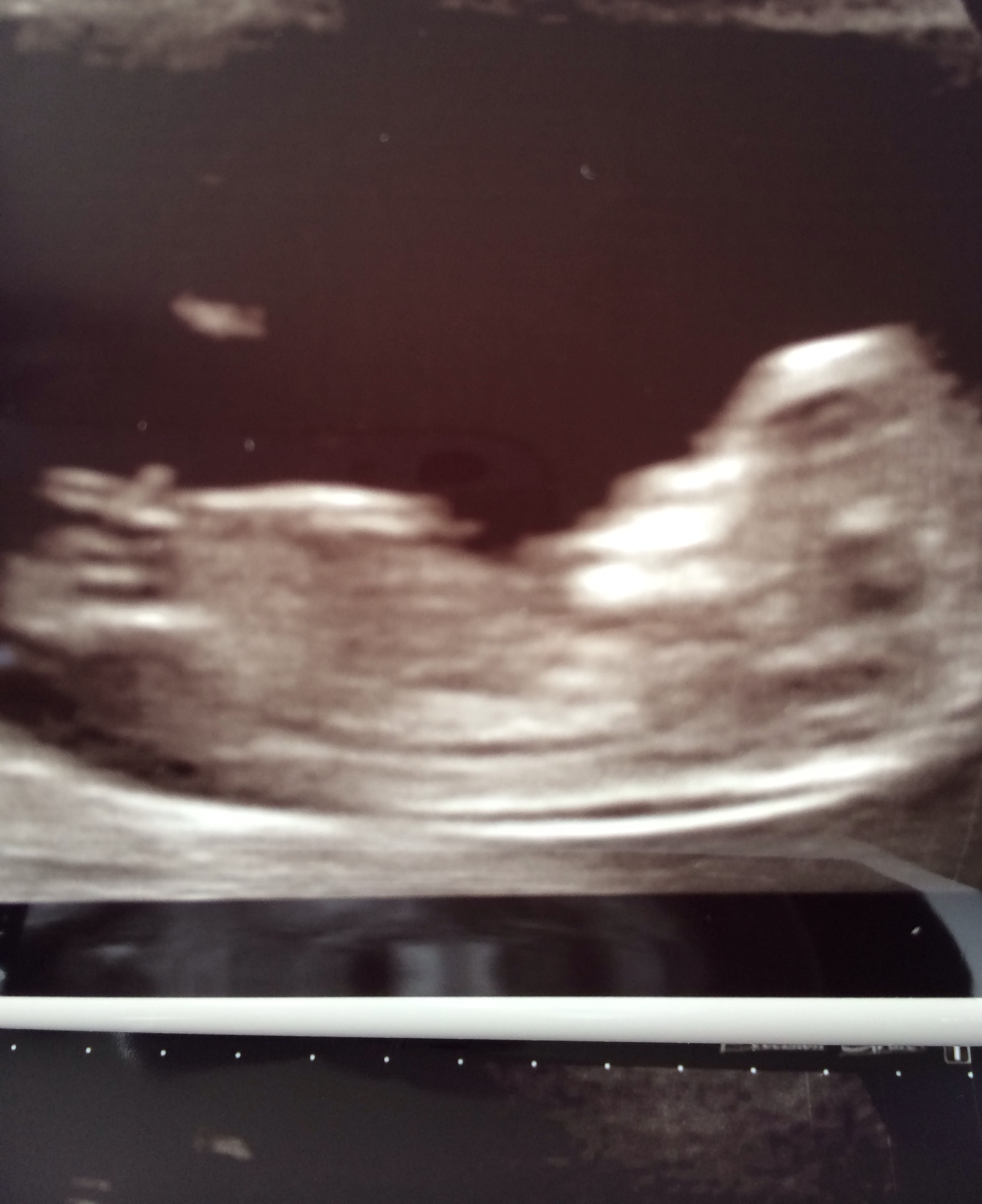 Name:  scan picture 3.JPG
Views: 168
Size:  391.9 KB