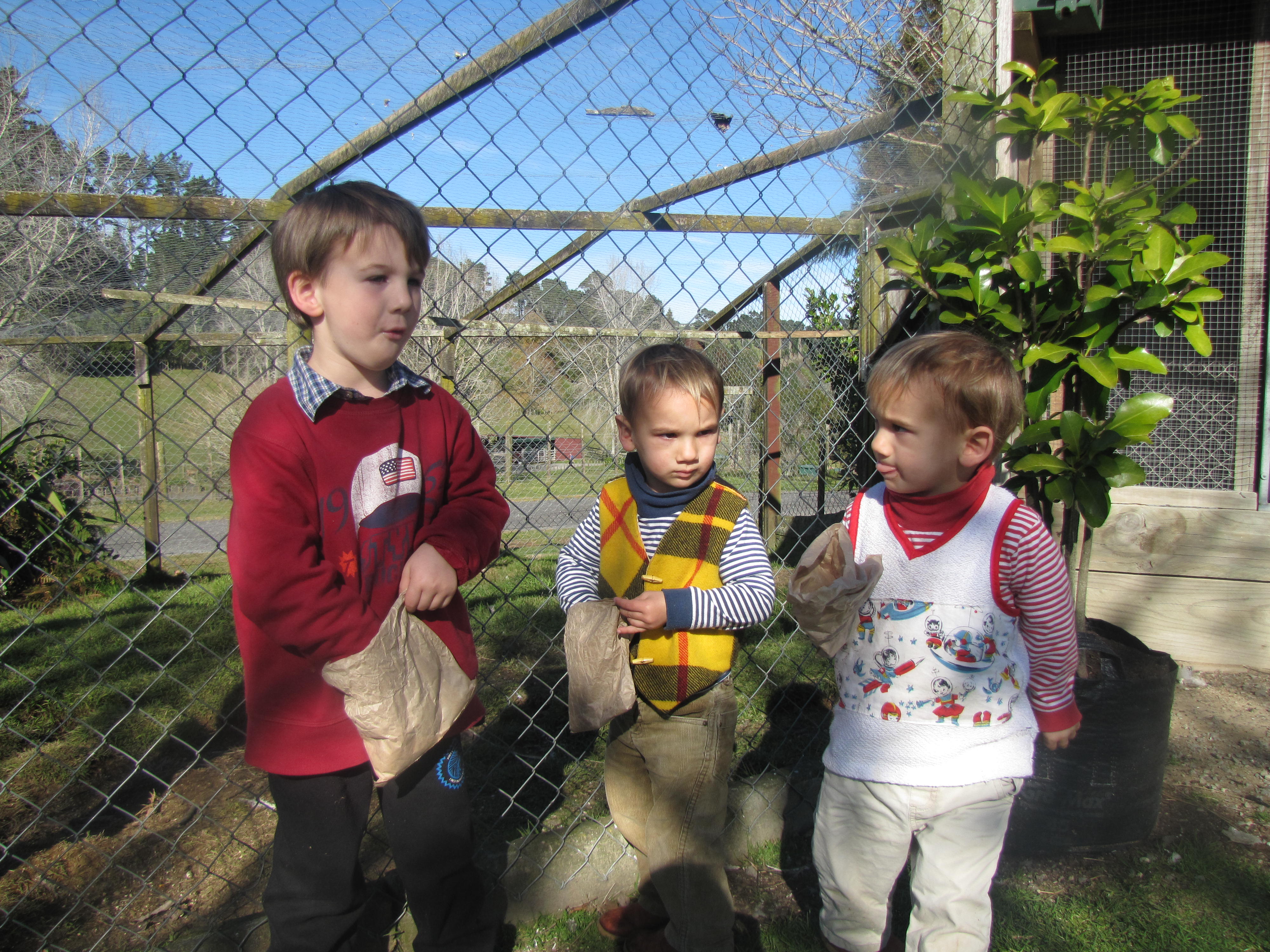 Name:  IMG_7123.JPG
Views: 611
Size:  1.92 MB