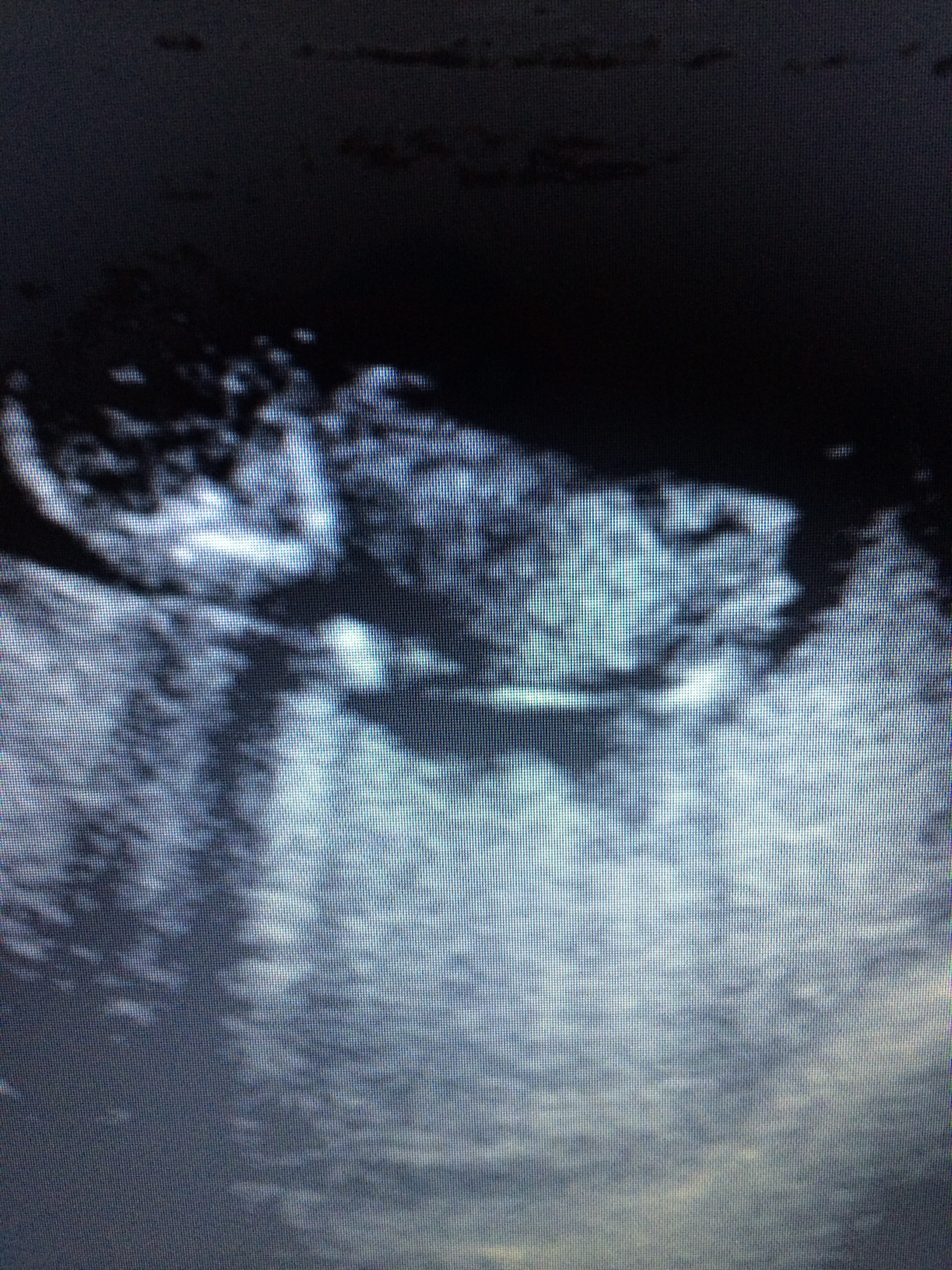 Name:  BABY SONO 001.JPG
Views: 538
Size:  3.93 MB