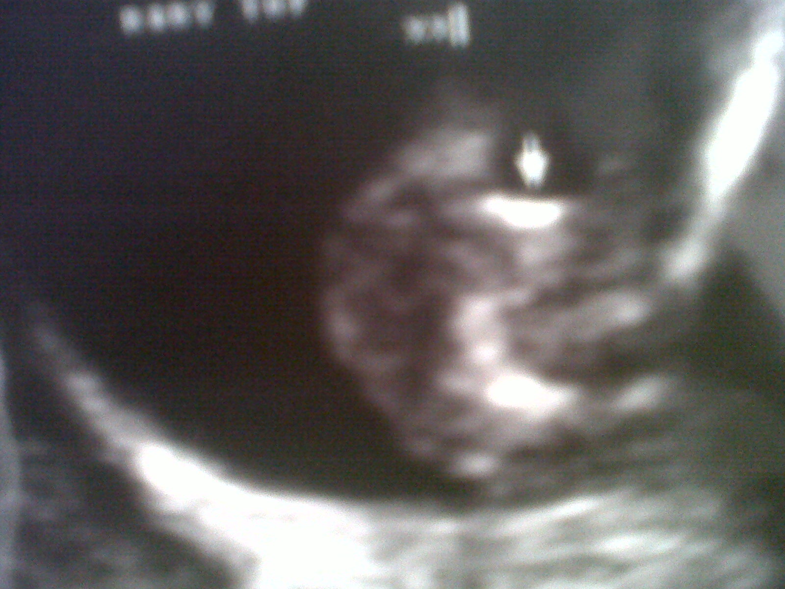 Name:  baby%201.jpg
Views: 543
Size:  307.0 KB
