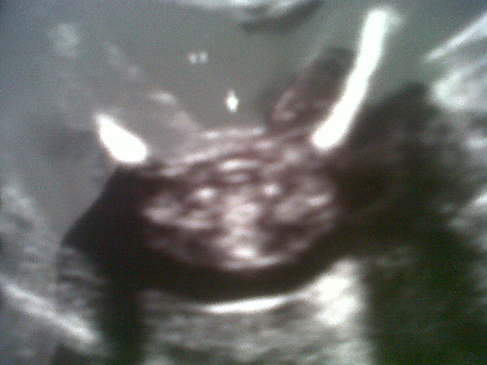 Name:  baby%202.jpg
Views: 499
Size:  361.9 KB