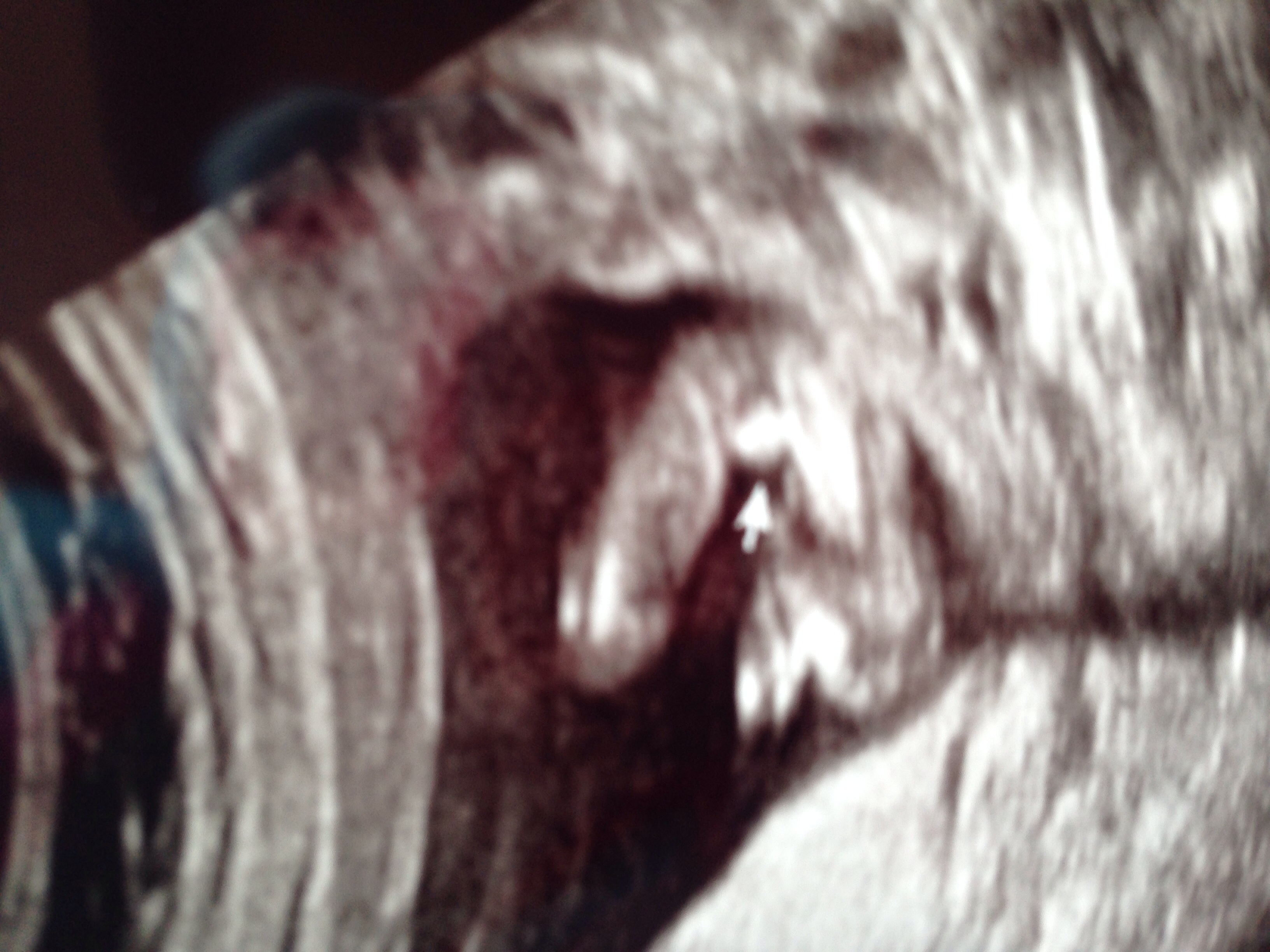 Name:  image.jpg
Views: 476
Size:  1.65 MB