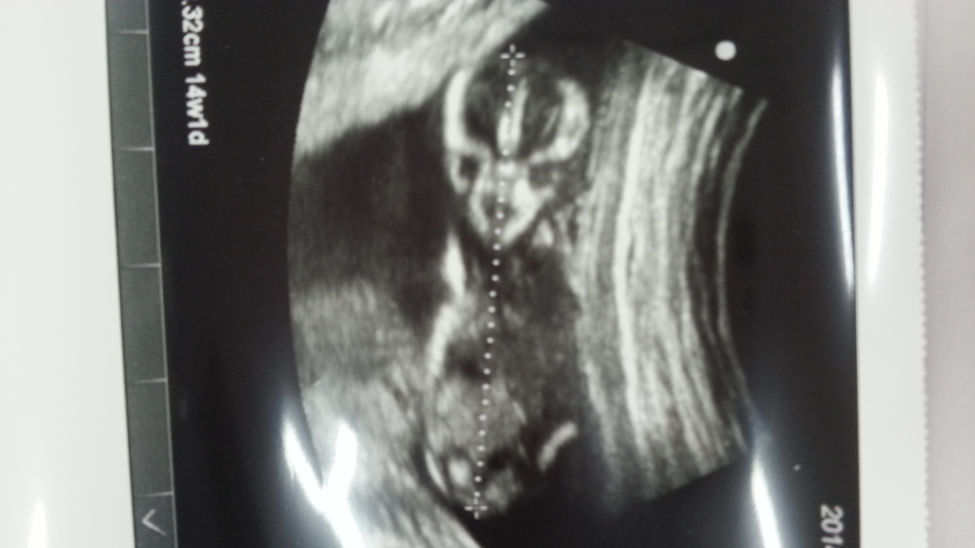 Name:  IMG-20141016-WA0001.jpeg
Views: 202
Size:  1.09 MB