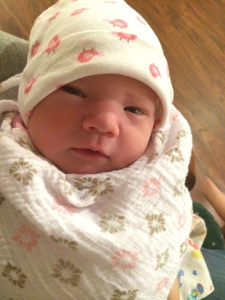 Name:  penelope1.jpg
Views: 346
Size:  92.1 KB