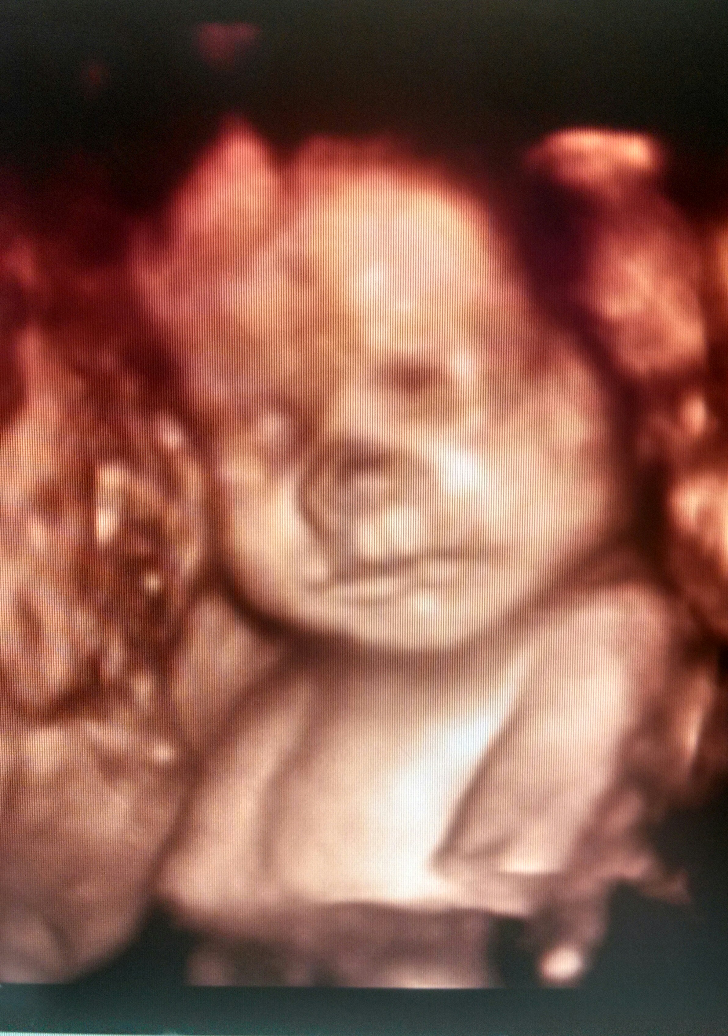 Name:  _20141122_140842.JPG
Views: 121
Size:  1.73 MB