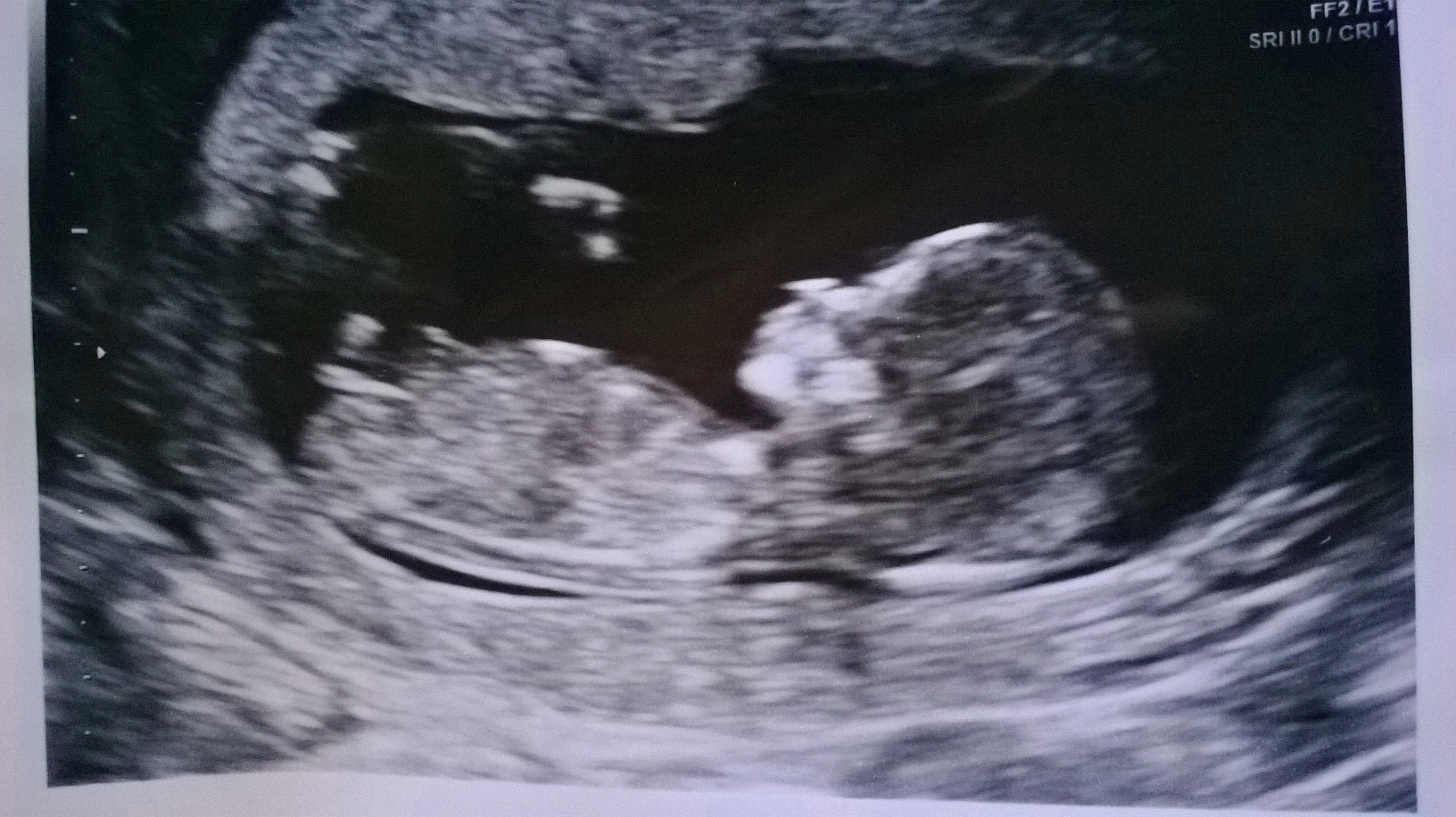 Name:  ps1.jpg
Views: 25192
Size:  671.5 KB