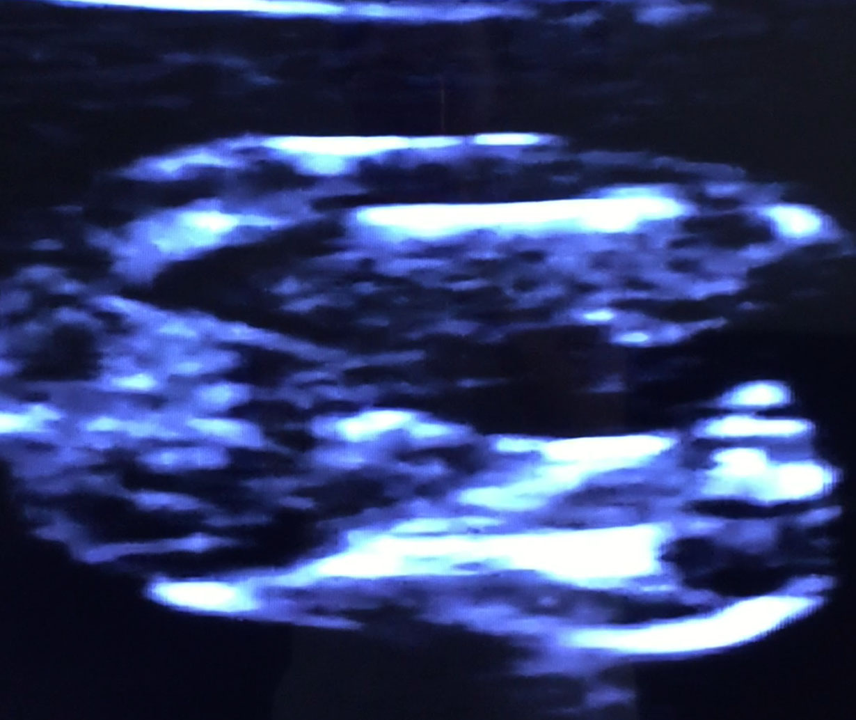 Name:  scan122.jpg
Views: 608
Size:  170.0 KB