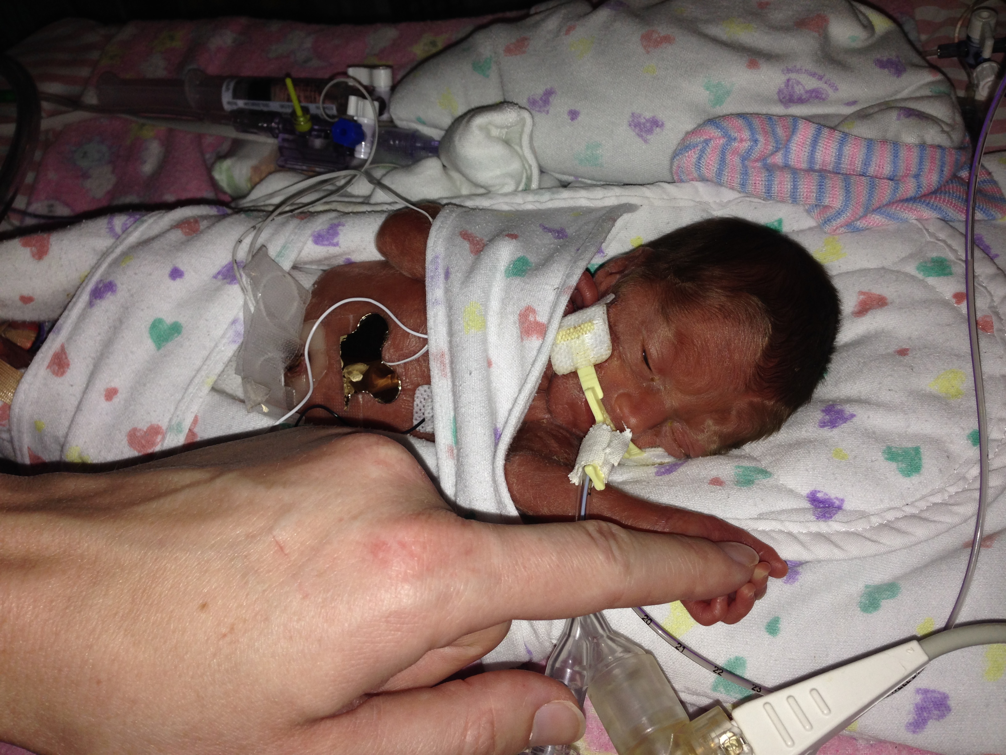 Name:  01-04-15 (4).JPG
Views: 492
Size:  2.43 MB