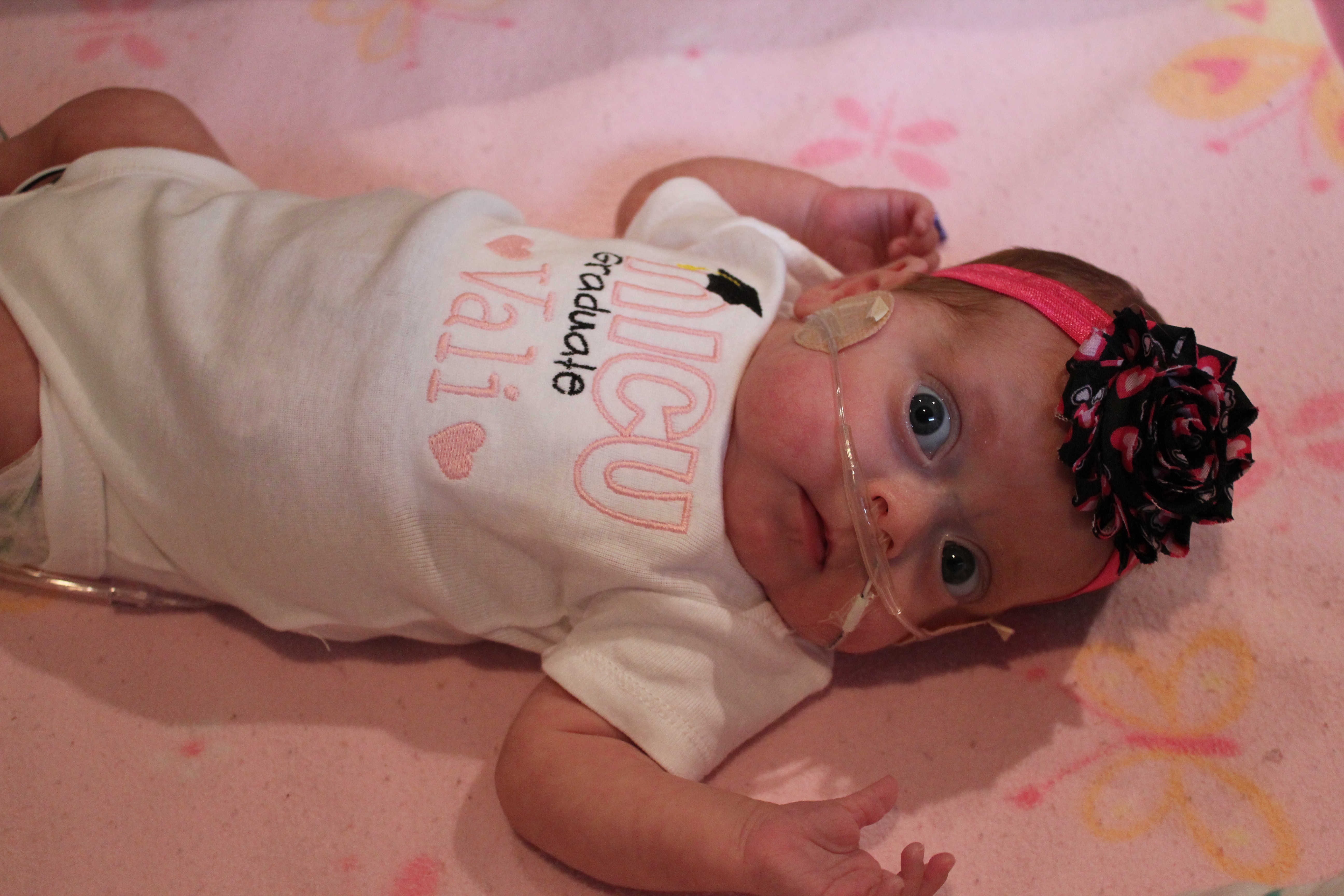 Name:  nicu6.jpg
Views: 704
Size:  6.36 MB