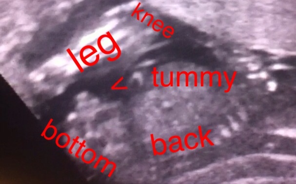 Name:  image.jpg
Views: 225
Size:  61.2 KB