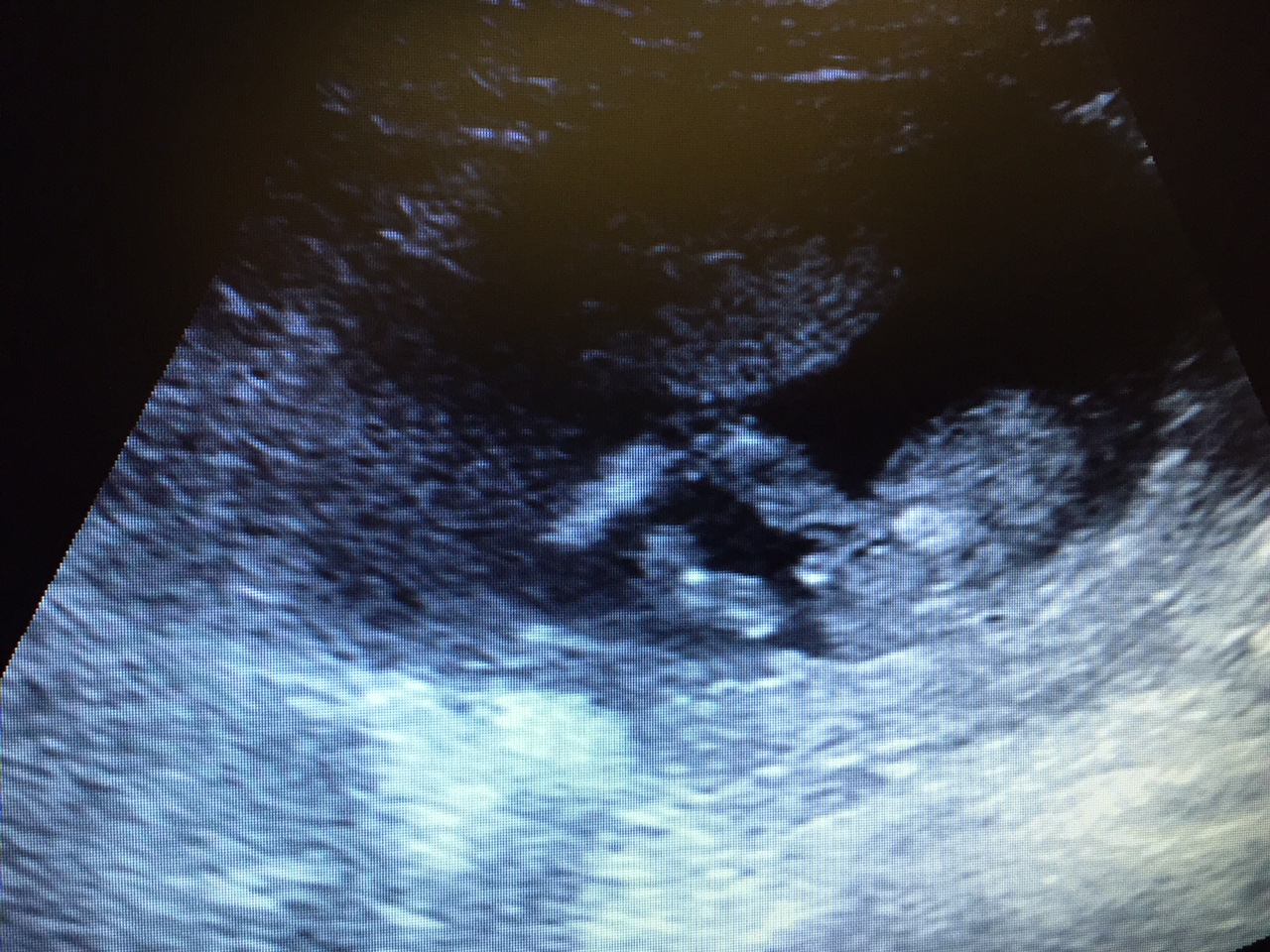 Name:  image7.JPG
Views: 437
Size:  521.3 KB