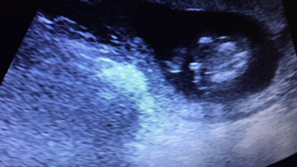 Name:  image8.JPG
Views: 396
Size:  131.0 KB