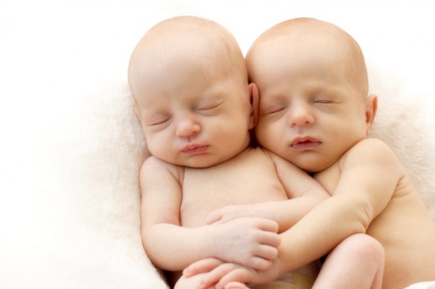 Name:  twins.jpg
Views: 331
Size:  31.3 KB