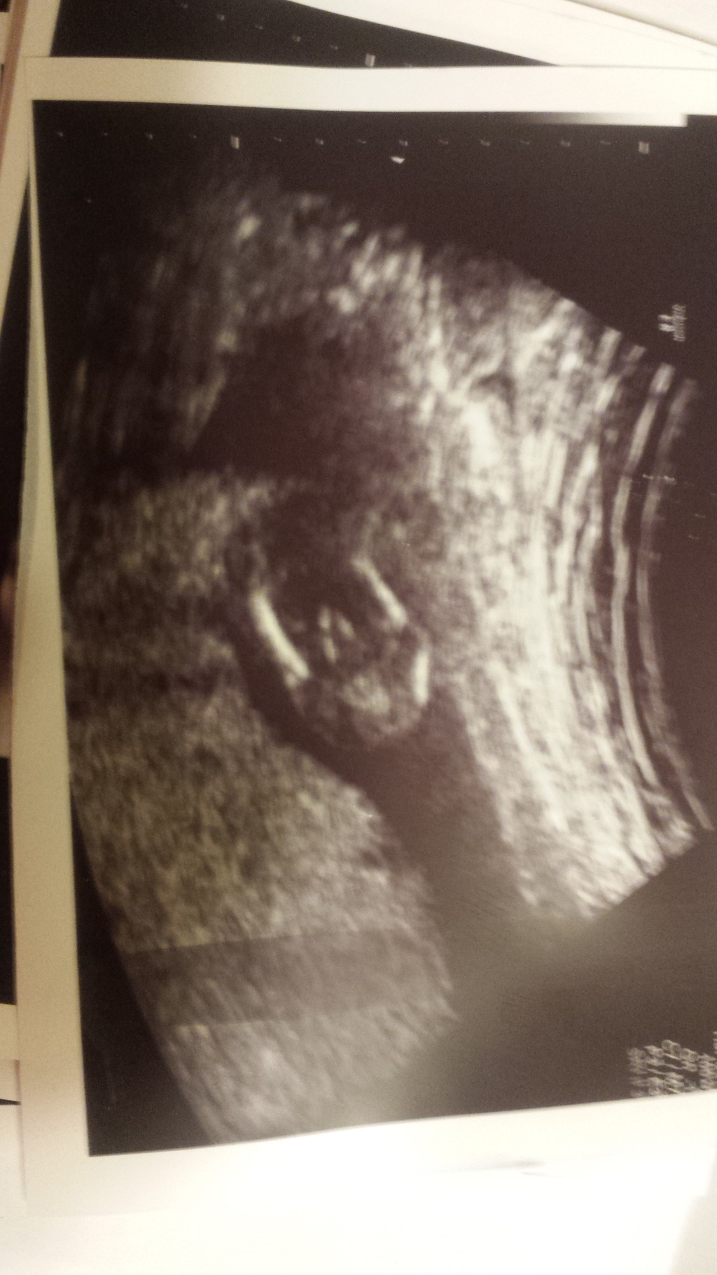 Name:  usbabycenter1.jpg
Views: 208
Size:  332.1 KB