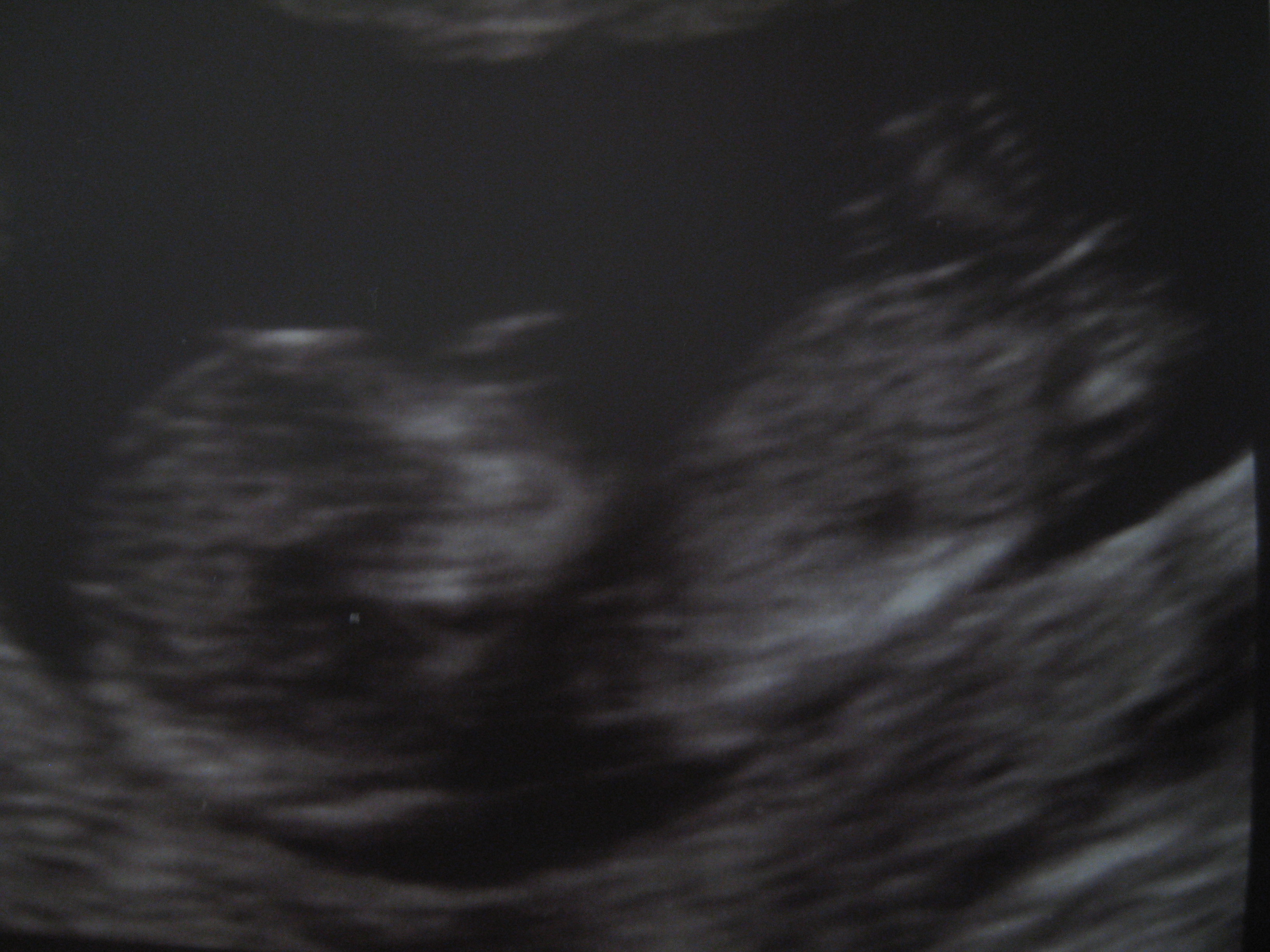 Name:  IMG_1110.JPG
Views: 687
Size:  1.66 MB