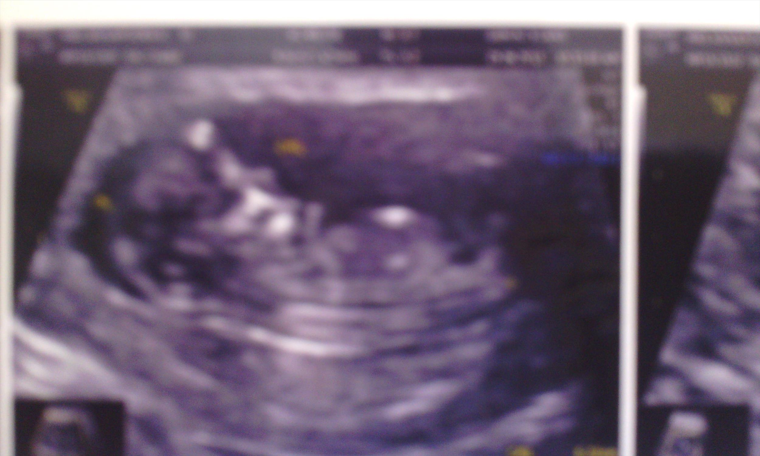 Name:  12W scan1.jpg
Views: 279
Size:  293.0 KB