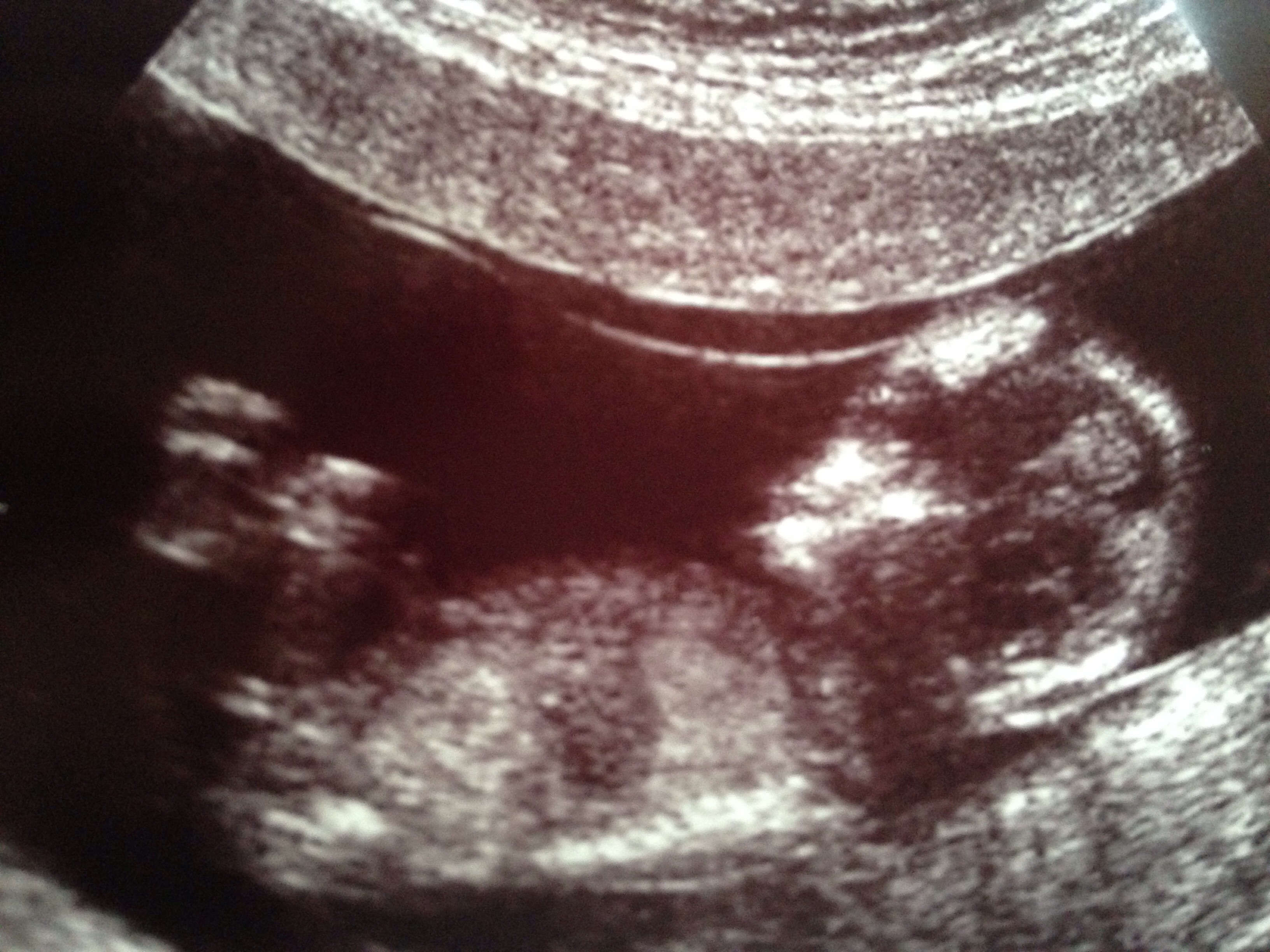 Name:  scan 5.jpg
Views: 173
Size:  1.71 MB