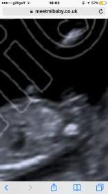 Name:  image.jpg
Views: 172
Size:  7.1 KB