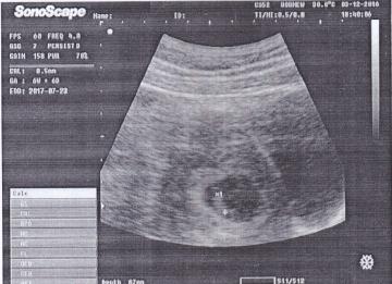 Name:  Scan2.jpg
Views: 542
Size:  19.7 KB