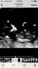 Name:  IMG_1167.jpg
Views: 217
Size:  7.9 KB