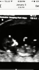 Name:  IMG_1170.jpg
Views: 167
Size:  6.5 KB