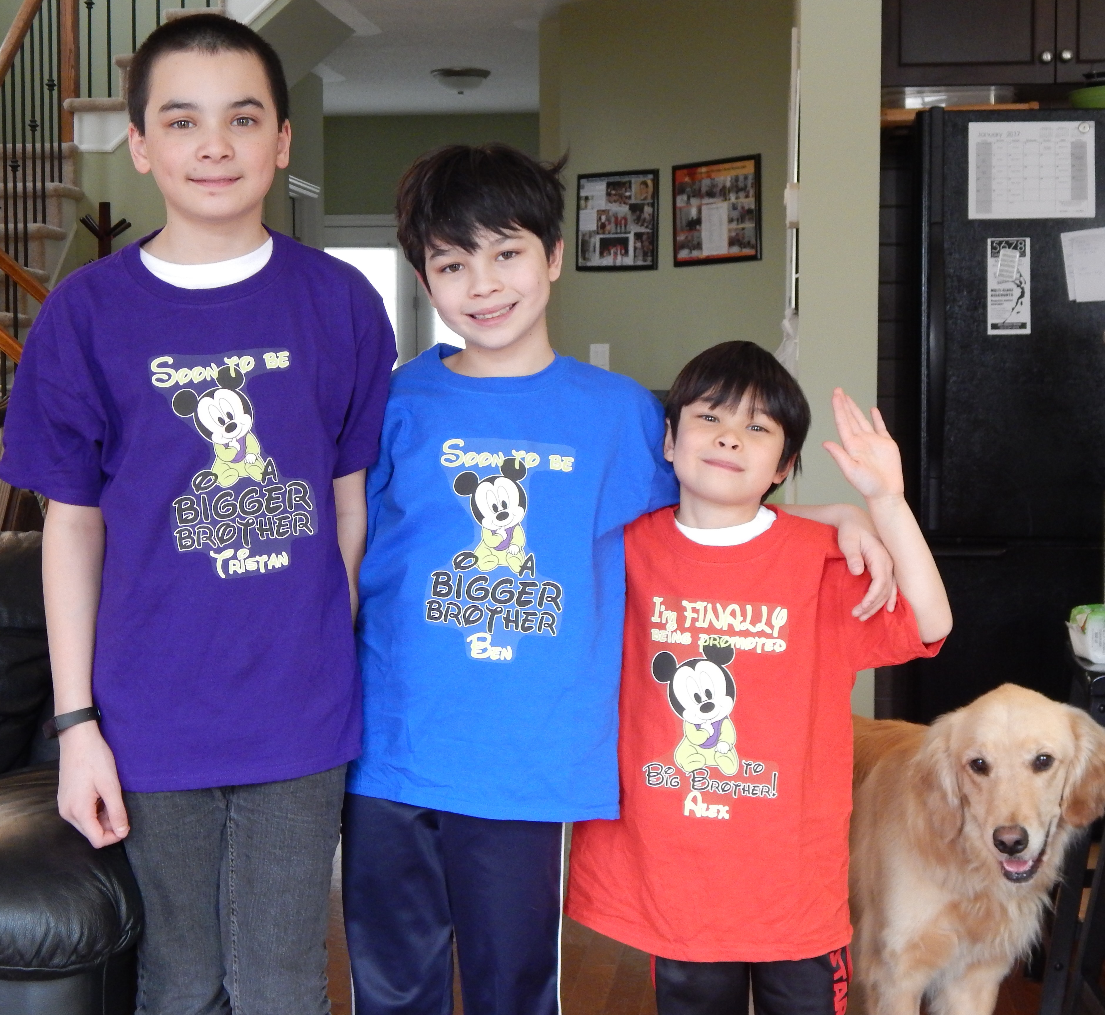 Name:  DSCN9138.JPG
Views: 183
Size:  2.44 MB